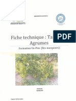 taille-agrumes-ft-support-formation-uapou_arbofruits-epefpa_20140915