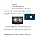 Gambaran Radiologi Hernia Inguinalis Lateral