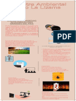 INFOGRAFIA | PDF | Petróleo | Contaminación