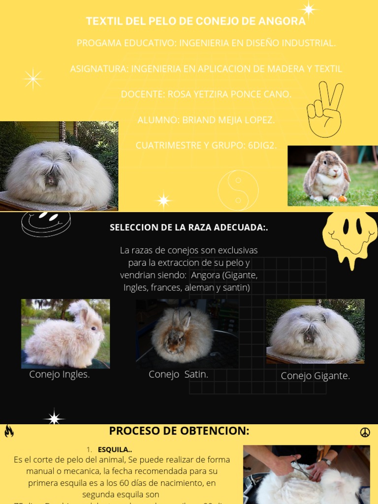 TEXTIL Del Pelo de Conejo de Angora | PDF | Lana