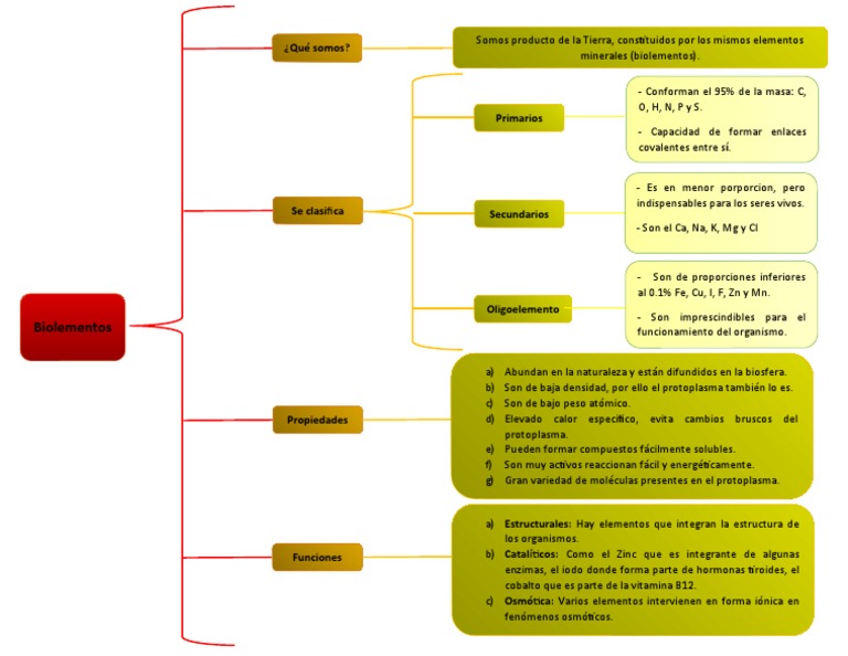 Organizador visual de bioelementos y química | PDF | Yodo | Química