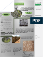 Infografia Arquitectura Inca