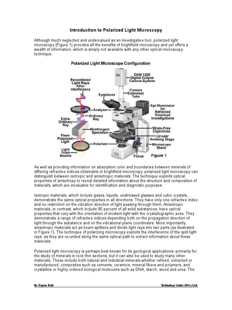 Introduction To Polarized Light Micros | PDF | Fluorescence Microscope ...