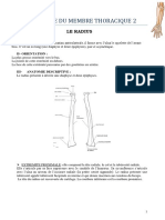 Ostrologie Du Membre Thoracique Le Radiusfichier - Produit - 1413
