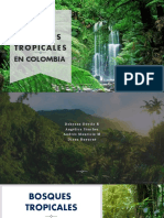 PRESENTACION Bosque Tropical Grupo Ambiental