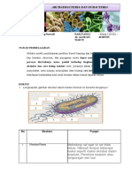 16 - Komang Lanang Purwadi - X MIPA 6 - LKPD BAKTERI Baru
