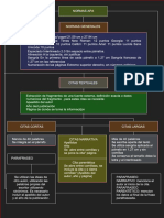 Organizador Grafico Normas Apa