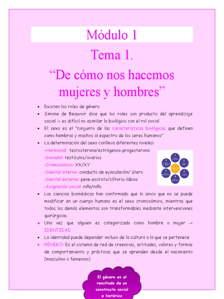 Rompiendo Estereotipos de Género | PDF | Igualdad de género | Estudios ...