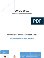 Esquema Juicio Oral Salamá PDF