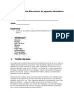 Practica Extraccion de Pigmentos de Las Hojas - 20211110