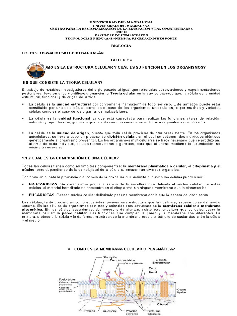 Estructura y función celular básica | PDF | Citoplasma | Biología Celular)