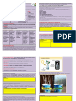 Indagamos Sobre La Fotosintesis y El Crecimiento de La Planta