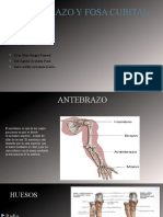 Examen