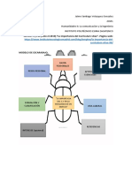 Modelo Escarabajo