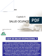 Salud Ocupacional - Inducción Milpo 2008