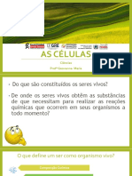 As Células - Níveis de Organização Celular