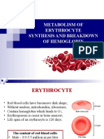 Erythrocyte Metabolism and Hemoglobin Breakdown
