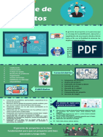 Infografia Gerente de Proyectos