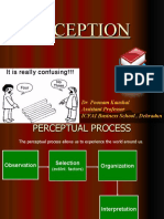 Perceptual Process