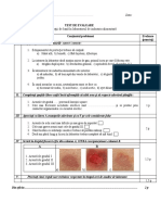 Test Operatii de Baza in Laborator 2019-2020