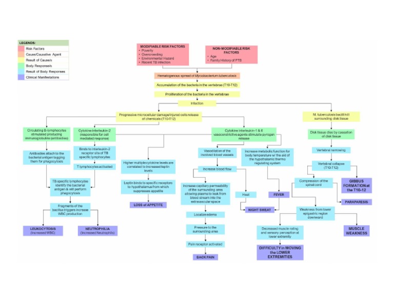 PATHOPHYSIOLOGY - Pott's Disease | PDF