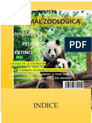 La Portada y Contraportada | PDF | Oso polar | Osos