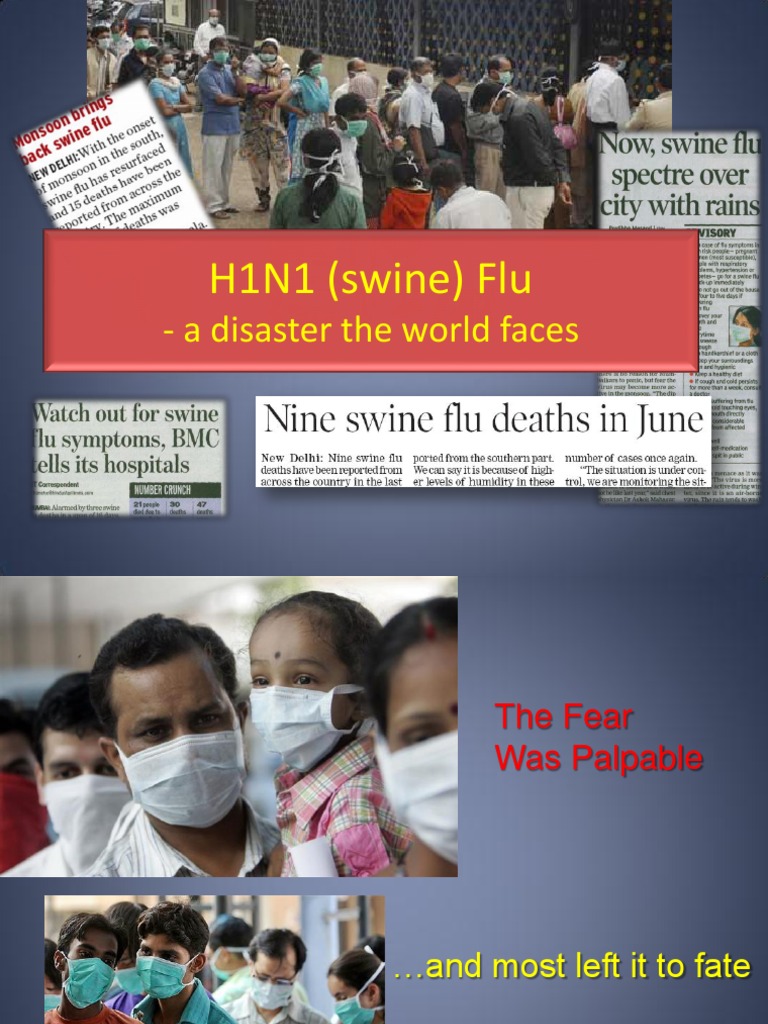 H1N1 Swine Flu: Impact and Solutions | PDF | Influenza A Virus Subtype ...