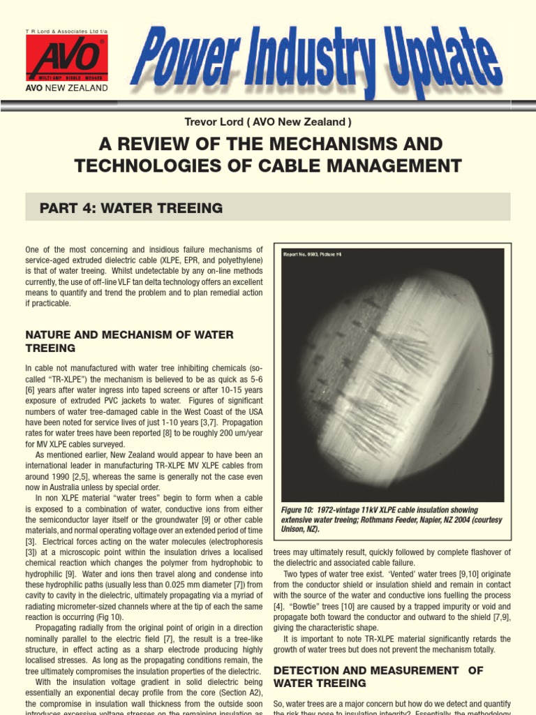 Cable Management & Water Treeing | PDF | Insulator (Electricity ...