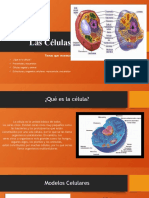 Las células: estructuras, funciones y tipos en solo