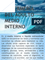 Medio Interno