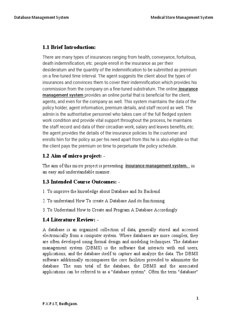 Insurance Database Project Guide | PDF | Databases | Information Management