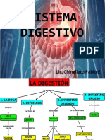 Sistema Gastrico