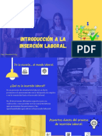 Introduccion A La Insercion Laboral