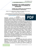 Principais Mecanismos Que Correlacionam A Microbiota Intestinal Com A Patogênese Da Depressão