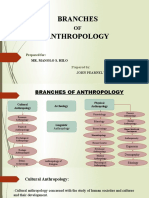 Branches of Anthropology Guide