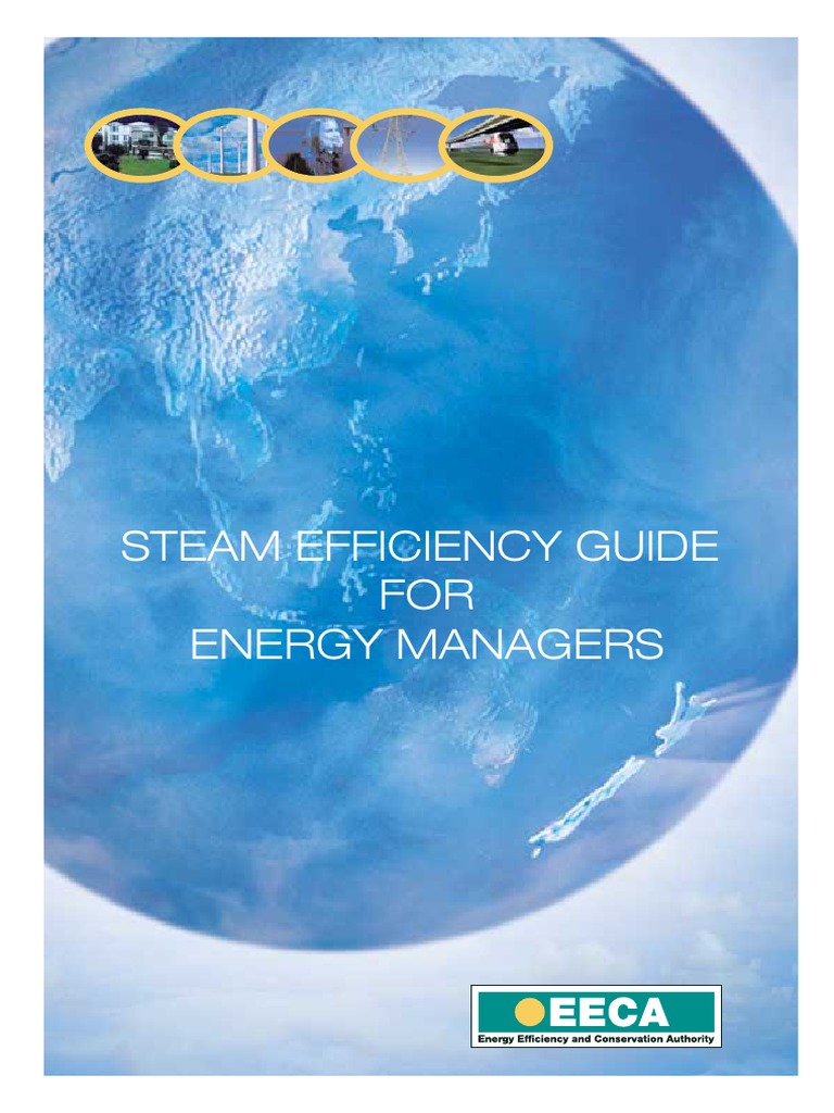 Steam Efficiency Guide for Managers | PDF | Boiler | Steam