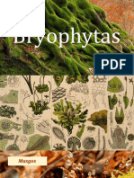 Apuntes de Briofitas