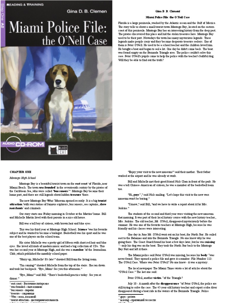 Miami Police File: O'Neil Case Summary | PDF