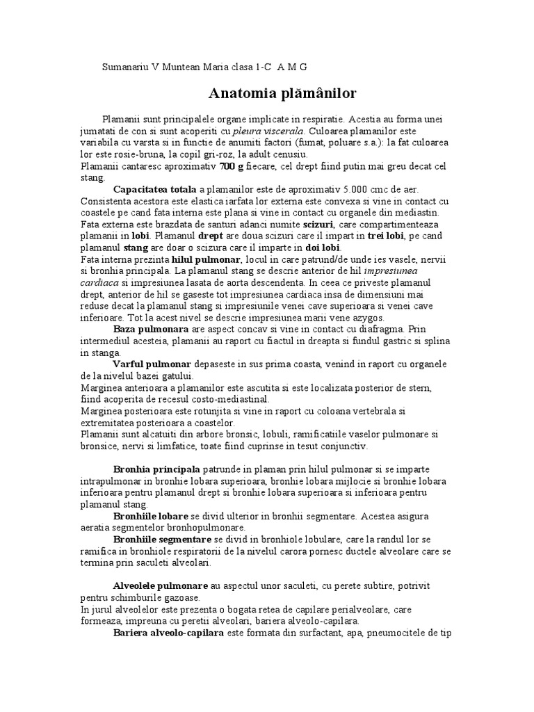 Plamani | PDF