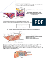 Fisiologia Muscular Esquelética