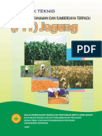 PTT Jagung