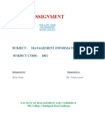 Assignment of Management Information System