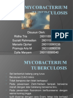 Mycobacterium Tuberculosis