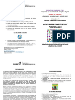 Cartilla Acuerdos de Convivencia y Participacion