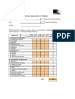 Pauta Evaluación Profesional