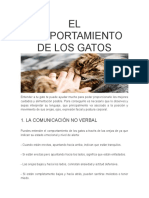 El Comportamiento de Los Gatos