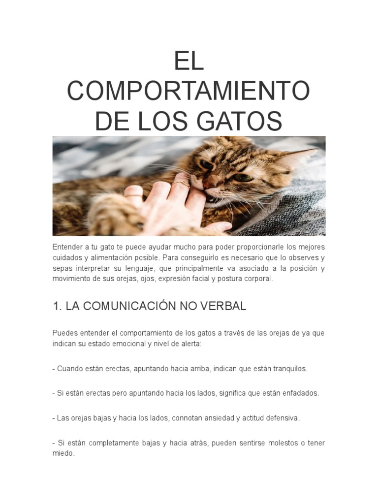 El Comportamiento de Los Gatos | PDF | Las emociones | Gatos, image size:768x1024