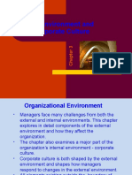 PPT - The Environment and Corporate Culture