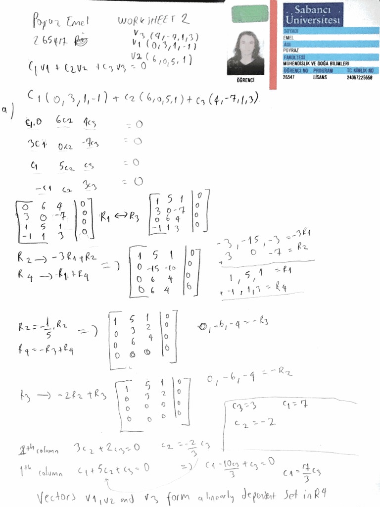 Math 201 Worksheet 2 | PDF