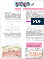 Processo de fecundação e reprodução humana